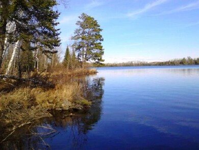 Gorgeous lake view