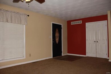 3 Mileva Ct, Farmington, MO 63640 - photo 7