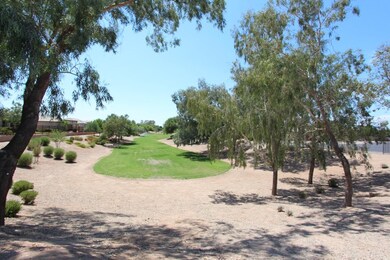 Backs to Common Area
