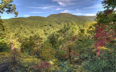 Additional View