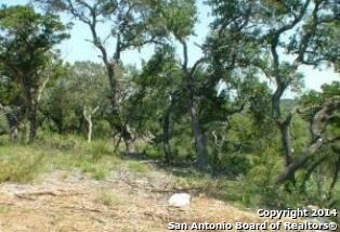 8626 Terra Dale, San Antonio, TX 78255 - photo 6