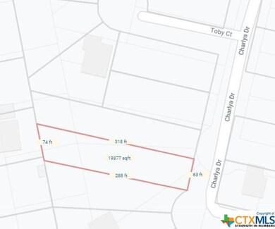 16264 Charlya Dr, Temple, TX 76502 - photo 5