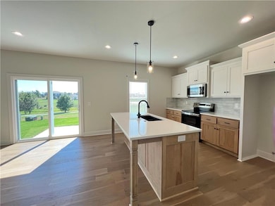 18867 W 169th St, Olathe, KS 66062 - photo 3