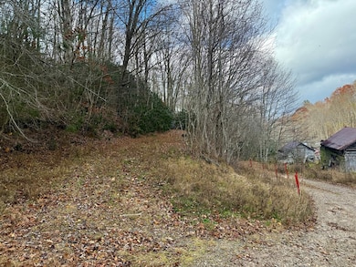 0 Henry Rd unit 26042658, Ellijay, NC 28734 - photo 7