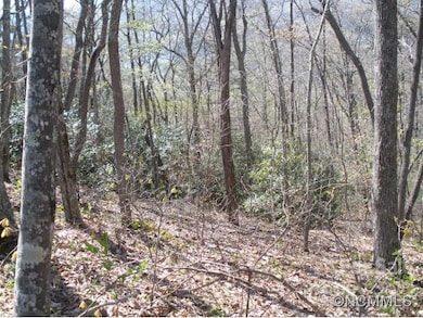 0 Anglers Ridge unit B1, B2,B3,B4, Waynesville, NC 28786 - photo 3