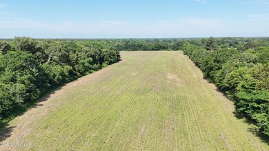 DJI_20240516101232_0055_D
