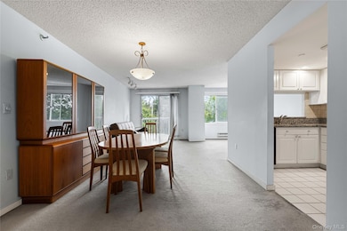 Stewart Place Condominiums unit 2AW, White Plains, NY 10603 - photo 4