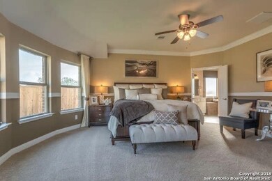 10834 Tansy Canyon, Helotes, TX 78023 - photo 6