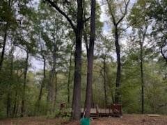 3122 County Rd, Clarksville, TX 75426 - photo 5