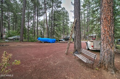 1910 Sierra Pine Loop -5