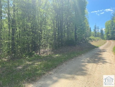 Lot 12 Timber Run Dr, Woolwine, VA 24185 - photo 2