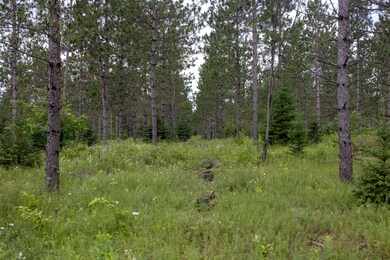 0 Brawley Rd, Newton Township, MI 49838 - photo 7