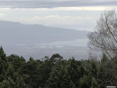 0 Haleakala Hwy unit Lot 37 384266, Kula, HI 96790 - photo 4