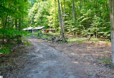 8080 S Sullivan Rd, Cedar, MI 49621 - photo 2