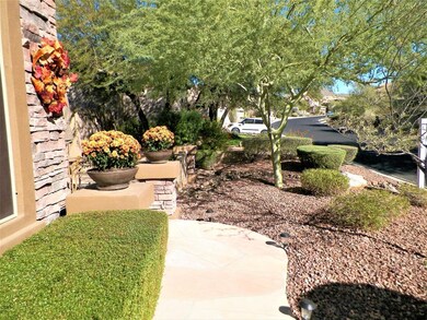 desert oasis (67)