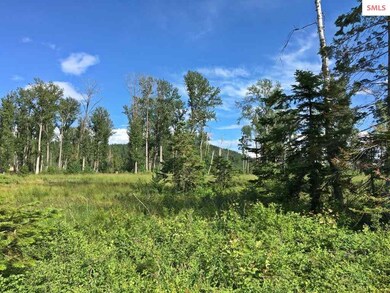 3 Lightfoot Dr, Sandpoint, ID 83864 - photo 6