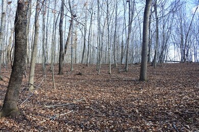 130 Johnny Bilbrey Ln, Cookeville, TN 38506 - photo 5