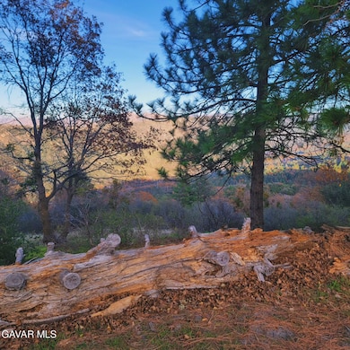 528 Mojave River Rd, Crestline, CA 92325 - photo 2