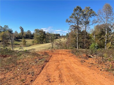 361 Springbrook Rd, Walhalla, SC 29691 - photo 7