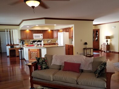 Great room into kitchen,entry & mud room