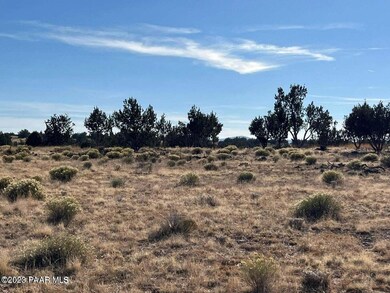 Ne4 117 Juniperwood Ranch, Ash Fork, AZ 86320 - photo 2