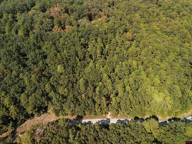 001-01299-000 Dwelle Rd, Norfork, AR 72658 - photo 7