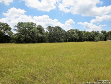 TRACT 13 County Road 251, Hondo, TX 78861 - photo 7
