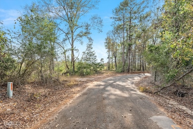 0 Pierce Rd, Logansport, LA 71049 - photo 7