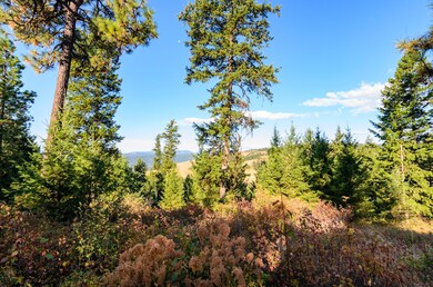 DSC_3045