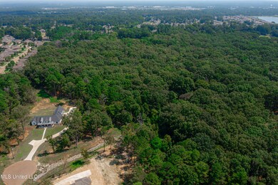 174 Hunter's Cove, Madison, MS 39110 - photo 4