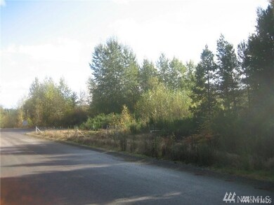 518 364th St E, Roy, WA 98580 - photo 6