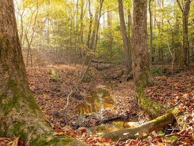 Dice Miller Rd, Moore, SC 29369 - photo 5