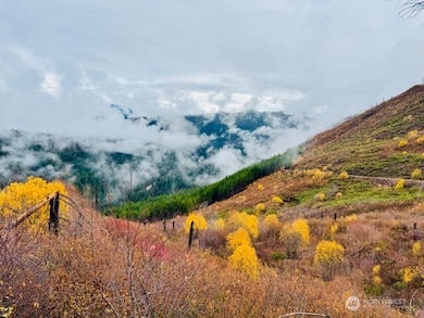 14638 US Hwy 2, Leavenworth, WA 98826 - photo 7