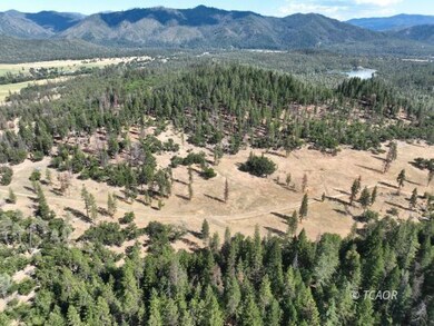 159 Buck, Hayfork, CA 96041 - photo 7