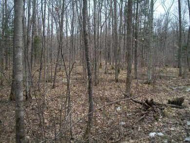 N4268 County Road B, Glen Flora, WI 54526 - photo 7