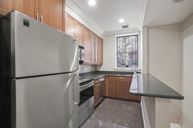 73 Worcester St unit 2, Boston, MA 02118 - photo 2