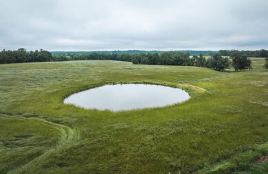 00 Farm Road 1200, Crane, MO 65633 - photo 5