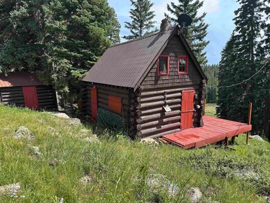 21344 Hilltop Dr, Cedaredge, CO 81413 - photo 2