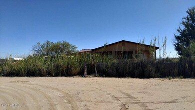 Bamboo in front of house