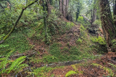 0 Cathedral Dr, Aptos, CA 95003 - photo 6