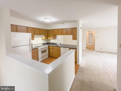 4206B Fenwick Ln unit 4206, Mount Laurel, NJ 08054 - photo 6