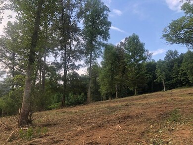 00 Macedonia Rd, Cookeville, TN 38506 - photo 6