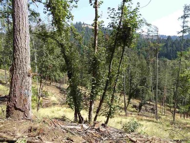 24845 Hidden Valley Rd, Philomath, OR 97370 - photo 4