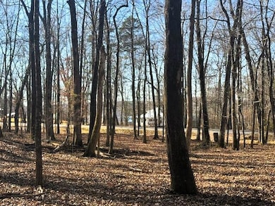 Lakeview 2 Highway 304, Ten Mile, TN 37880 - photo 5