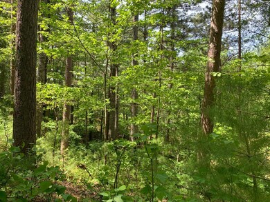 Lot 29 Whitetailed Deer Dr, Tomahawk, WI 54487 - photo 5