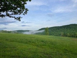 14114 Madison 3605, Kingston, AR 72742 - photo 3