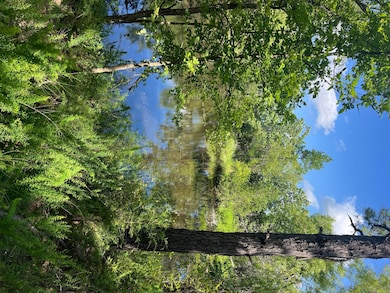 Tract 1 SE 1083 Road Ave, Red Oak, OK 74563 - photo 4