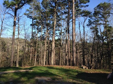 0 Shifnal Ln unit 1080140, Alpena, AR 72714 - photo 2