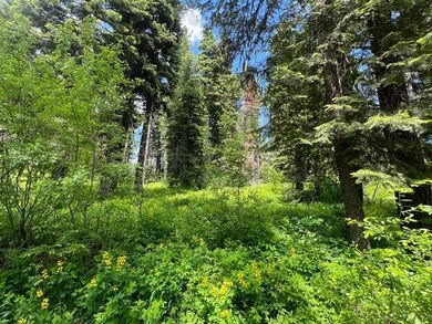 TBD Grouse Trail unit 6A-57, Donnelly, ID 83615 - photo 2