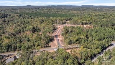 Lot 37 Snow Goose Walk Ct, Clover, SC 29710 - photo 5